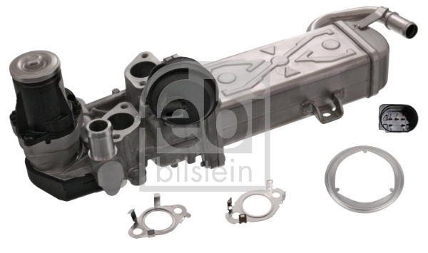 EGR Module